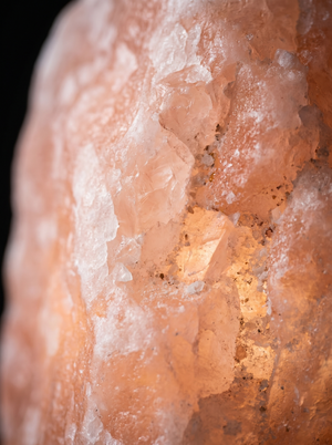 The Raw Tabletop view 3